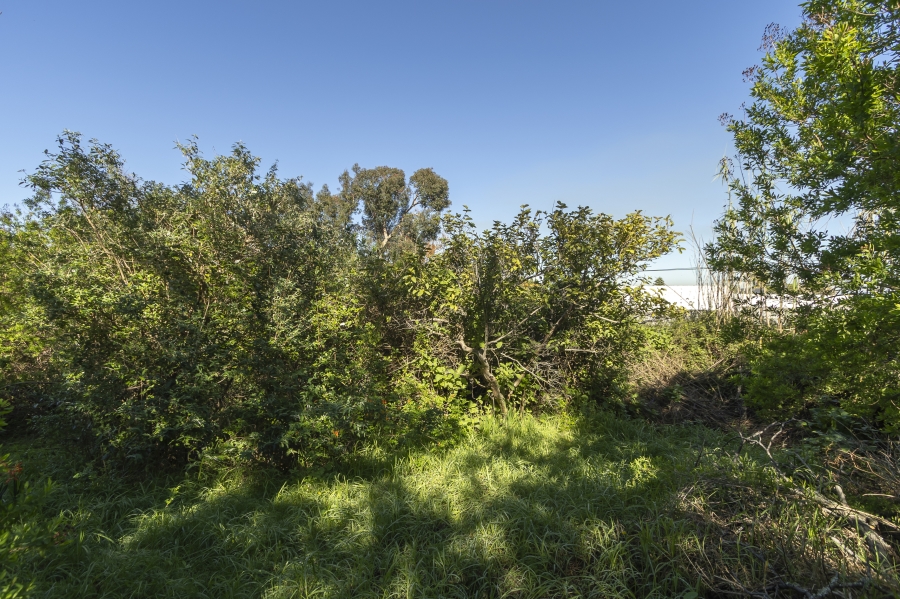 0 Bedroom Property for Sale in Pearlrise Western Cape